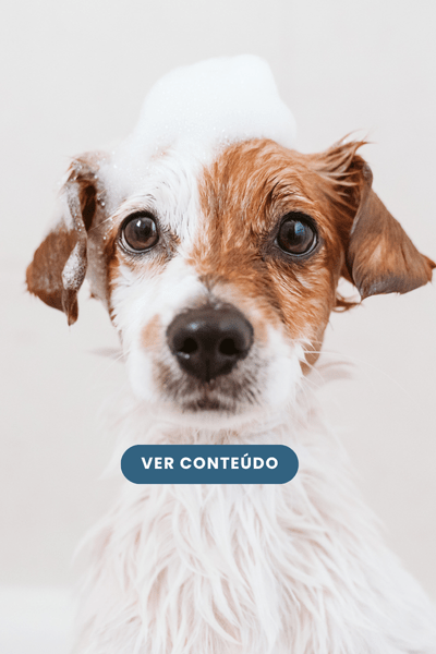 Banho em Filhotes: Tudo que você precisa saber 